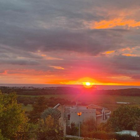 Apartman Dobrec Poreč Exterior foto